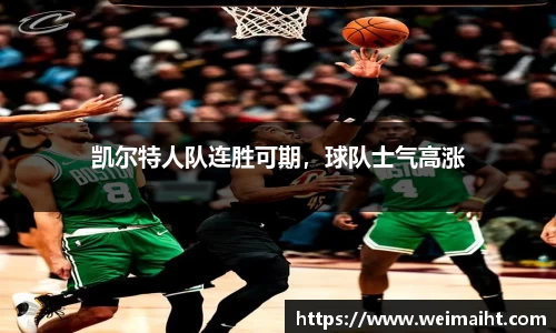 B体育官网