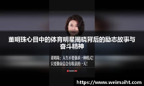 B体育官网