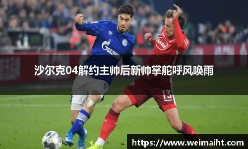 bsports官网入口